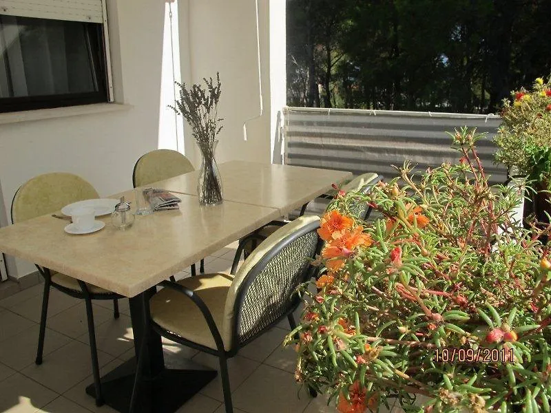 Apartments Liveric Vir