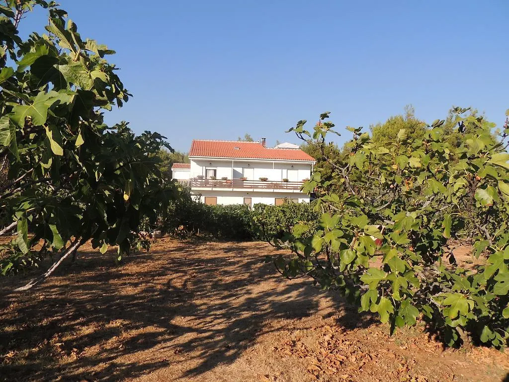 Apartments Liveric Vir Croatia