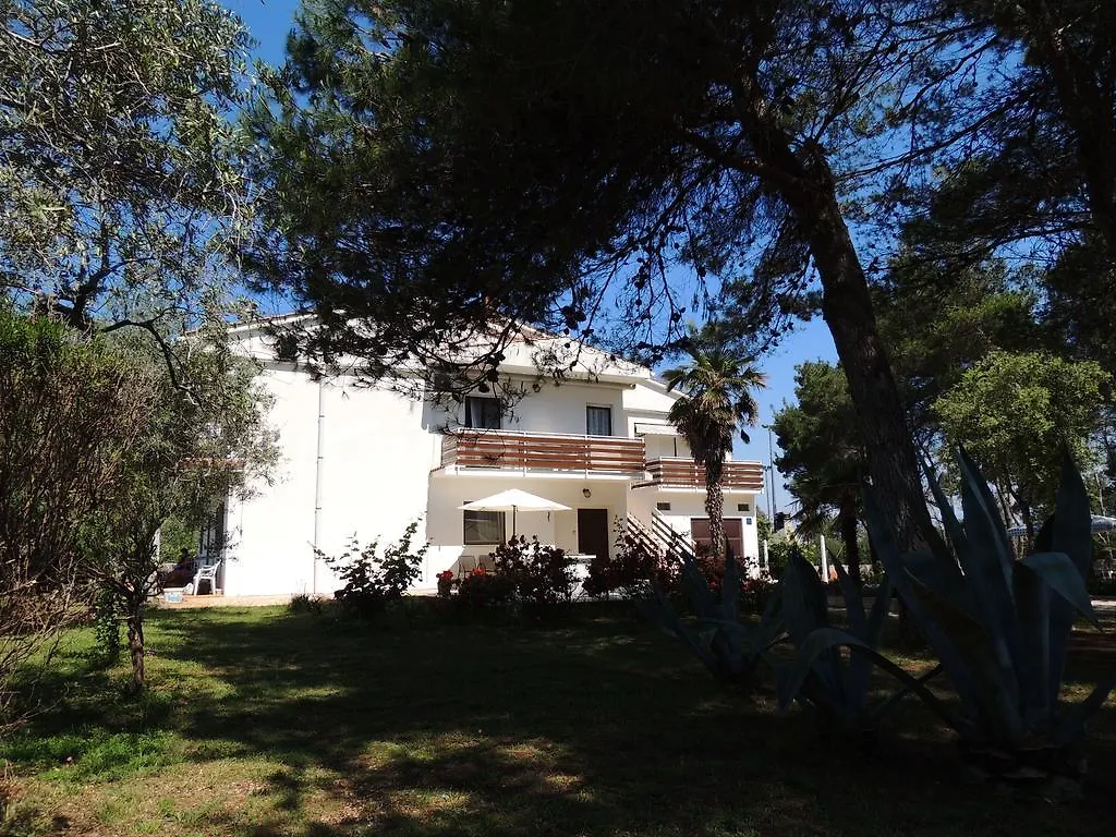 Apartments Liveric Vir Croatia